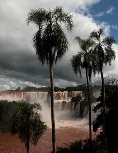 Iguazu Waterfalls