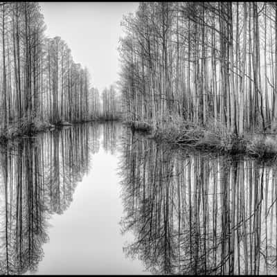 The Okefenokee National Wildlife Refuge, USA