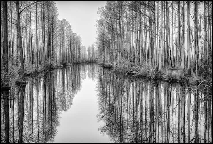 The Okefenokee National Wildlife Refuge