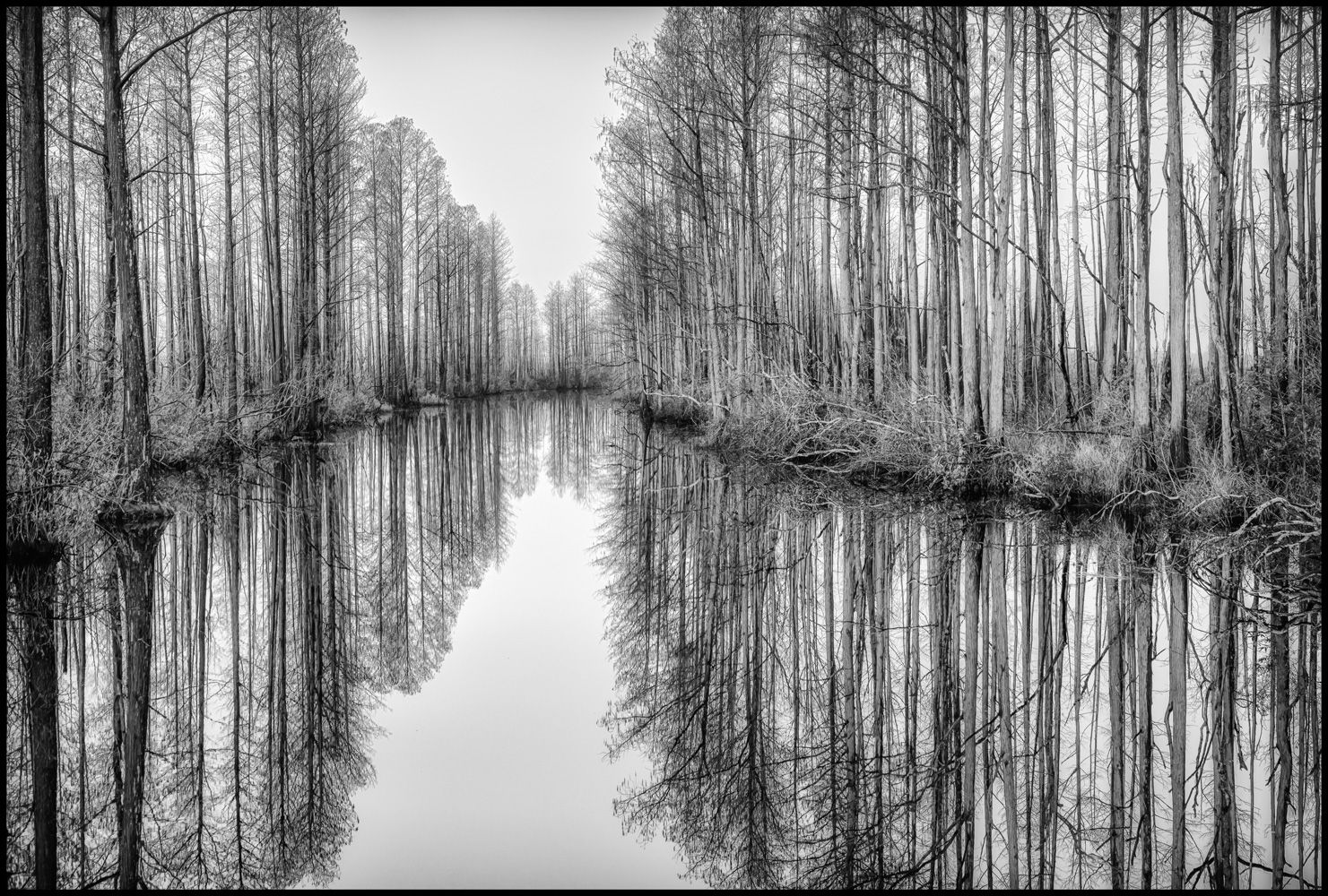 The Okefenokee National Wildlife Refuge, USA