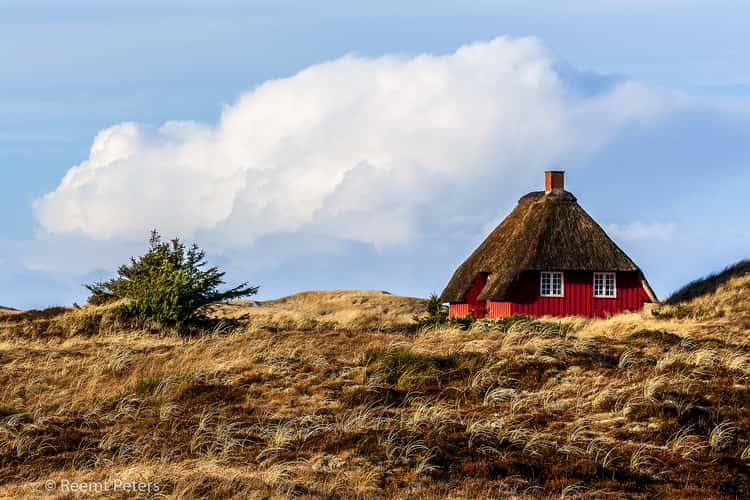 Traditional houses