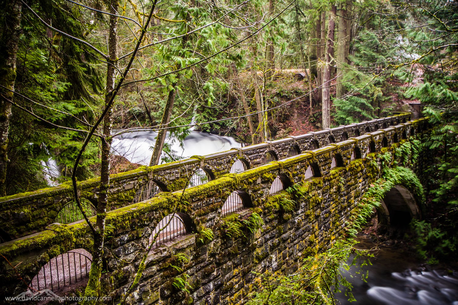 Whatcom Falls Bridge, USA