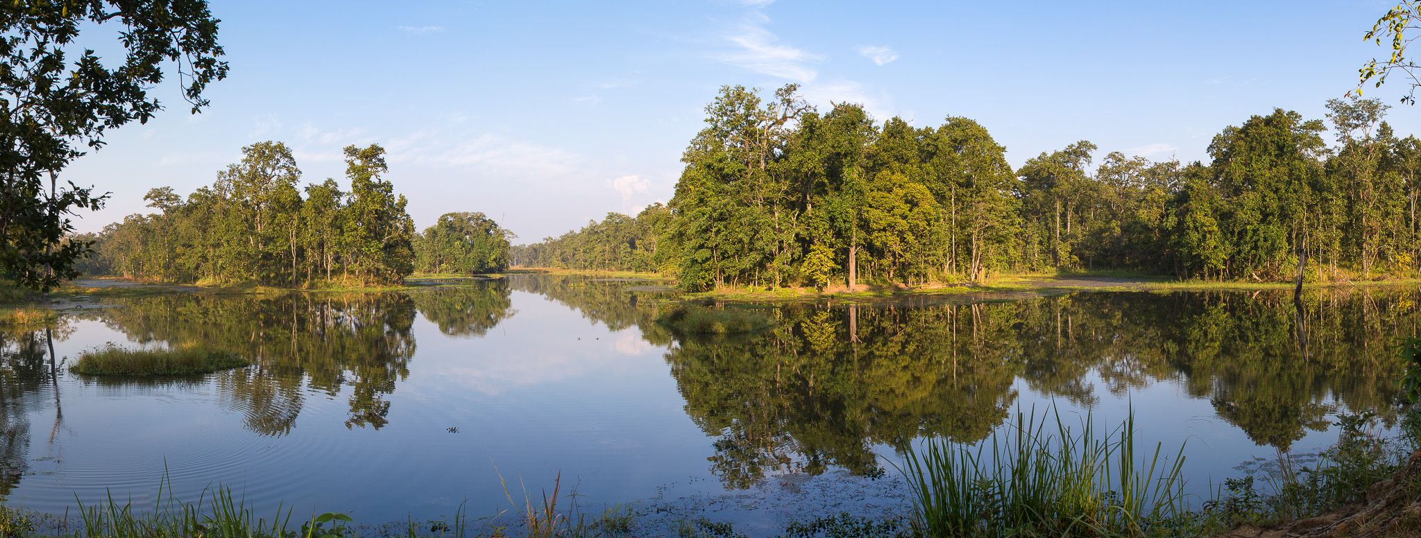 Chitwan National Park, Nepal