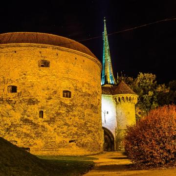 Fat Margaret, Tallinn, Estonia