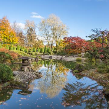 Japanese Garden, Bonn, Germany