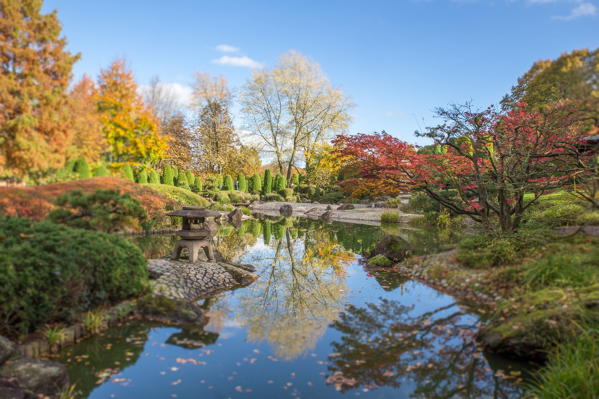 Japanese Garden, Bonn, Germany