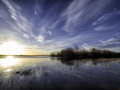 The Ouse Washes