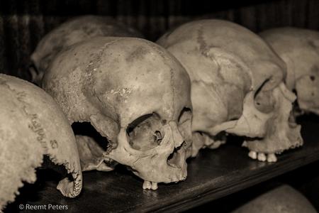Skulls of the fallen
