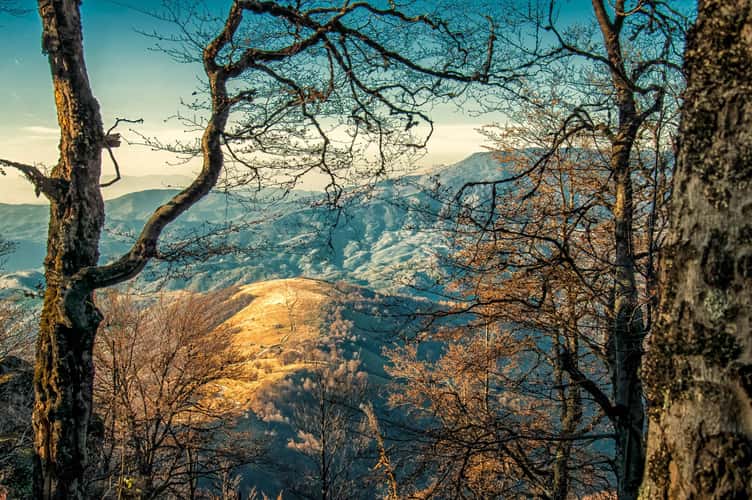 Stara planina