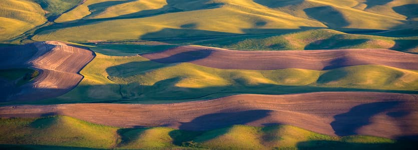 The Palouse