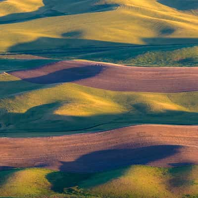 The Palouse, USA