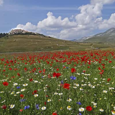 Castelluccio di Norcia, Italy