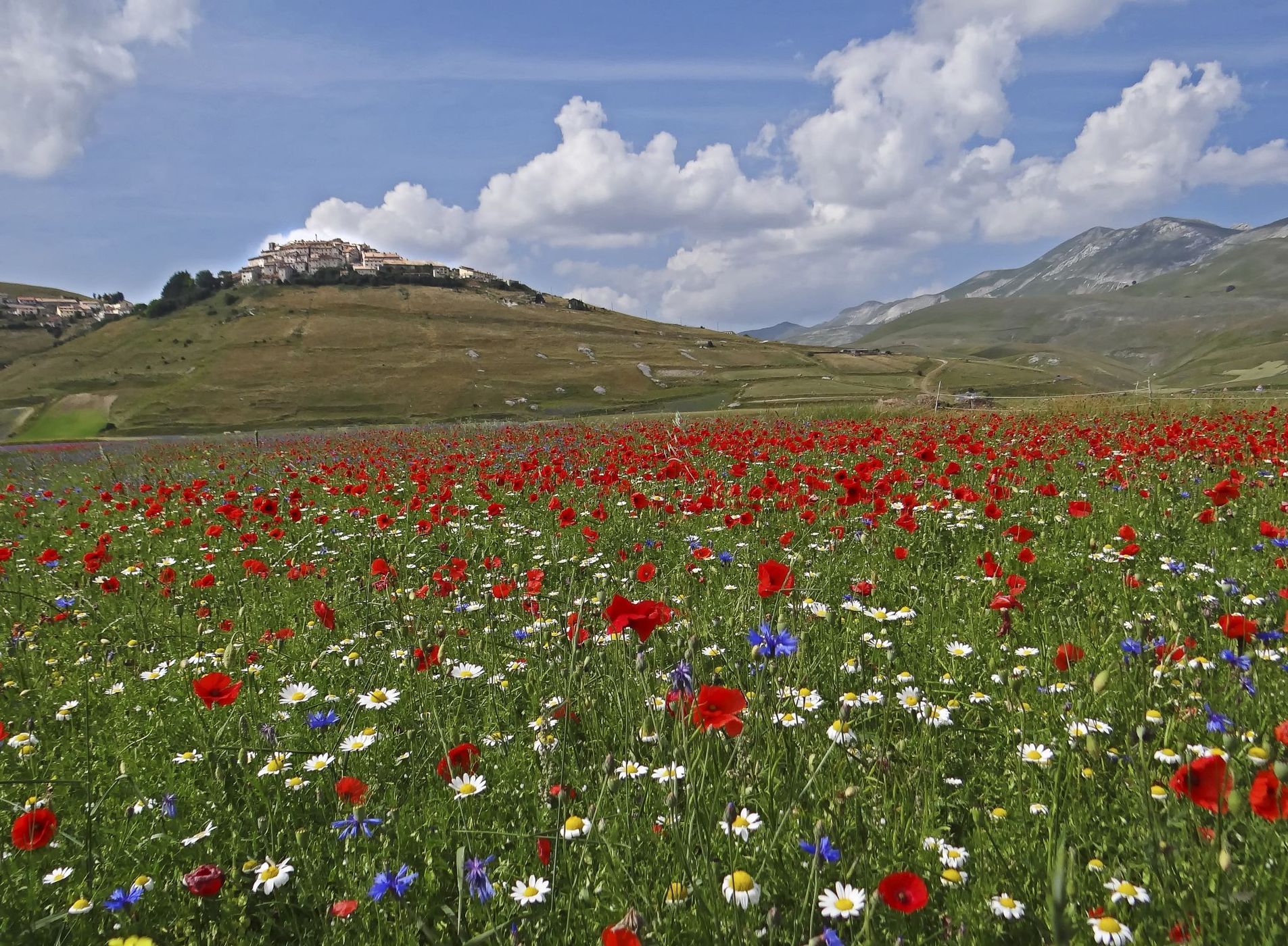 Castelluccio di Norcia, Italy