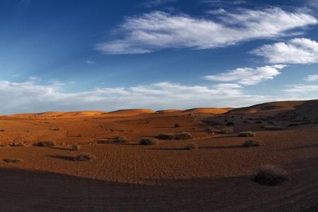 Desert plains surrounding Marrakech