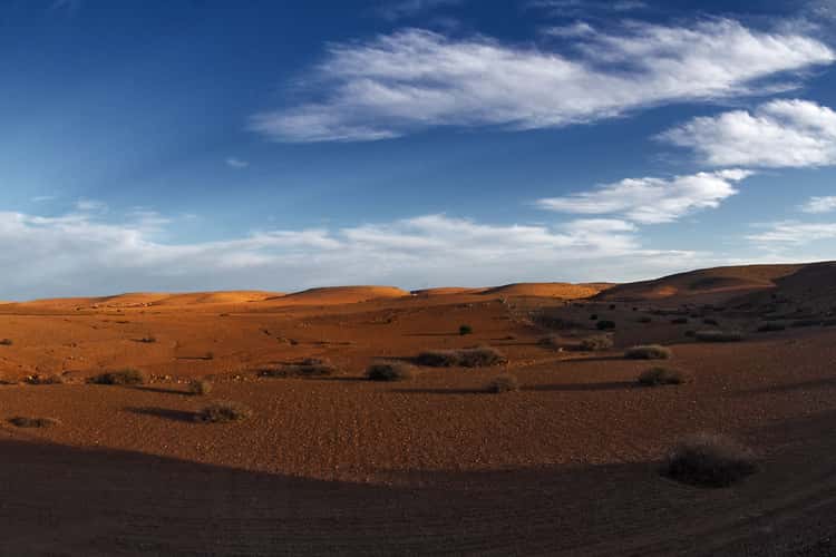 Desert plains surrounding Marrakesh