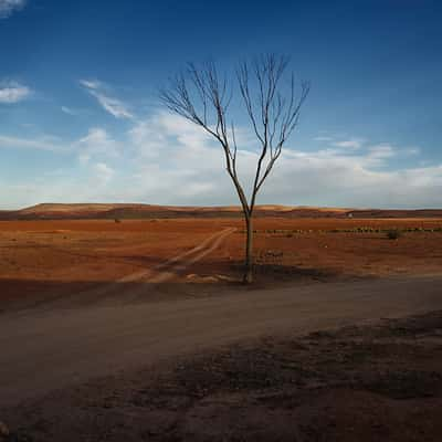 Desert plains surrounding Marrakesh, Morocco