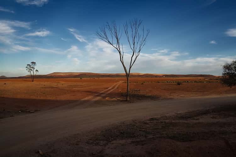 Desert plains surrounding Marrakesh