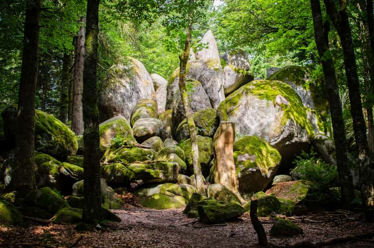 Guenterfelsen, Black Forest