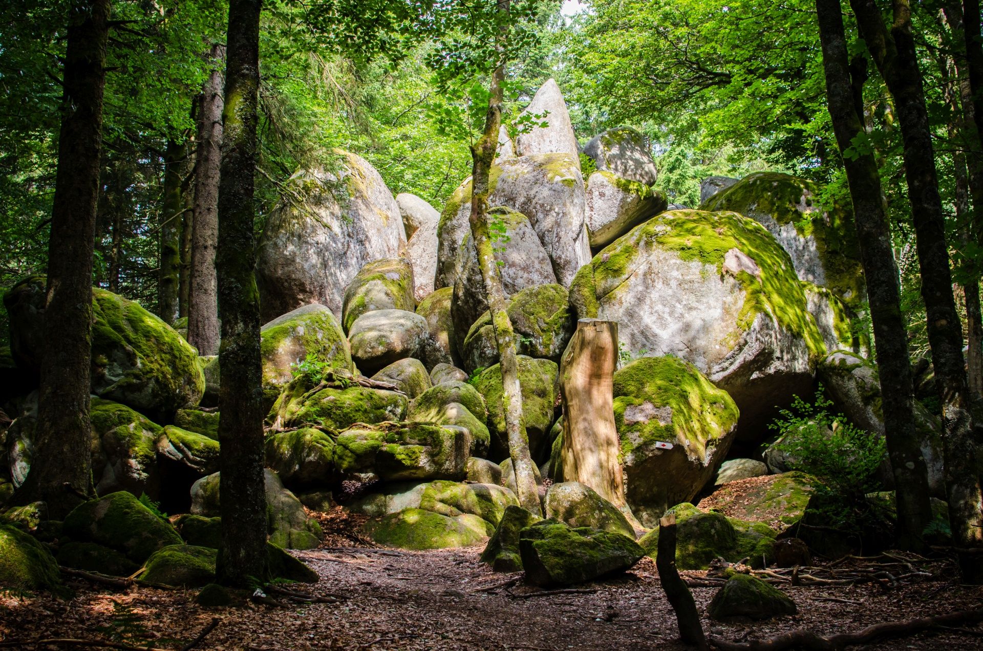 Guenterfelsen, Black Forest, Germany