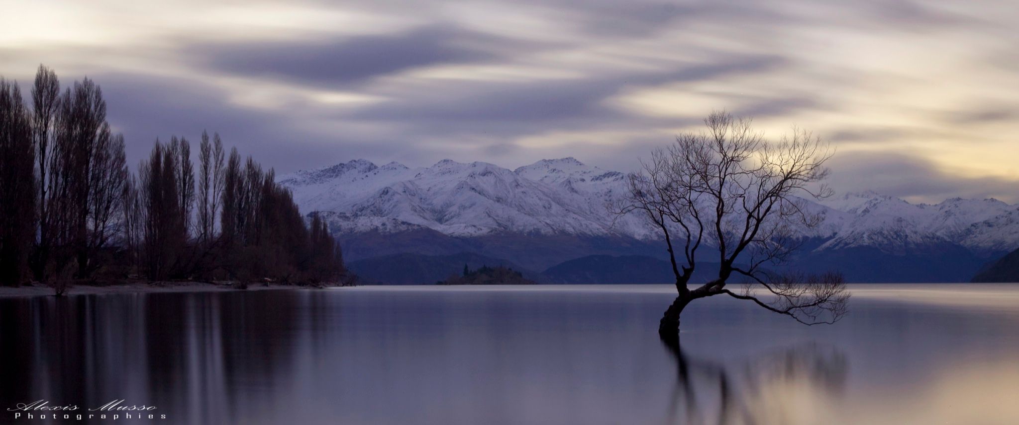 Lake Wanaka - The lonely Tree, New Zealand