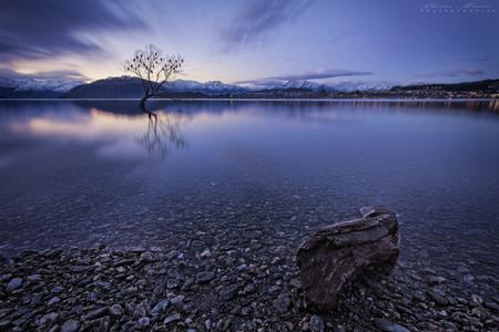 Lake Wanaka - The Alone Tree