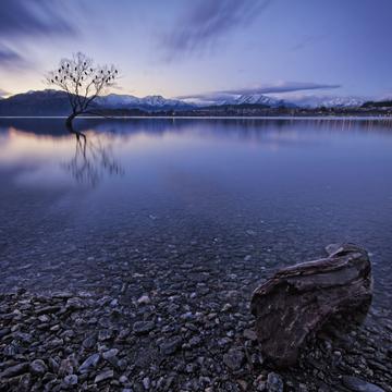 Lake Wanaka - The Alone Tree, New Zealand