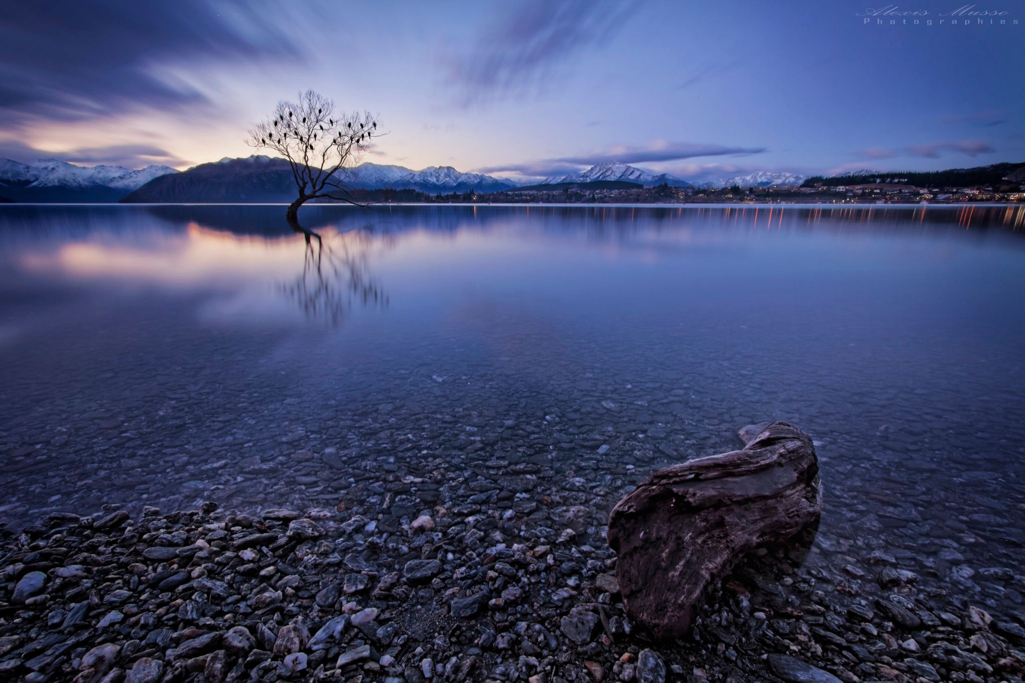 Lake Wanaka - The lonely Tree, New Zealand