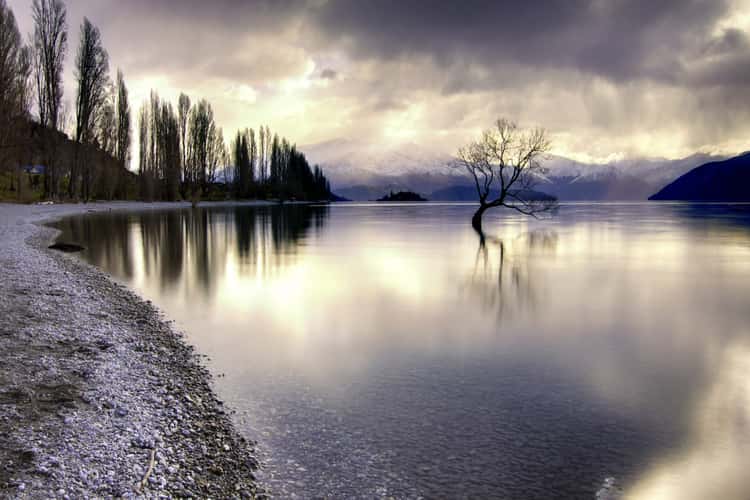 Lake Wanaka - The lonely Tree