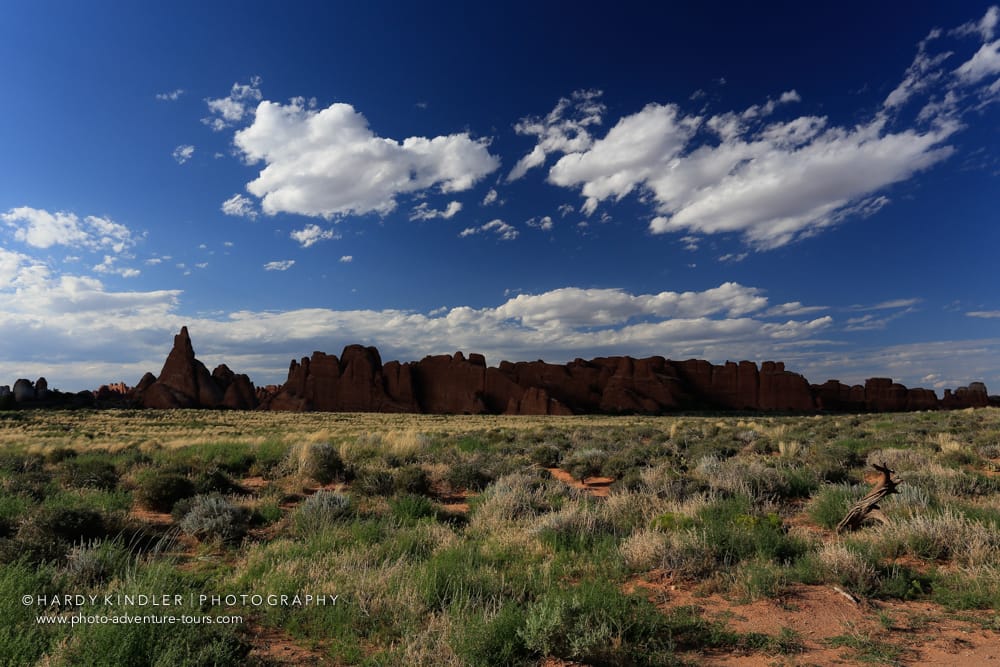 Light and Shadow, USA