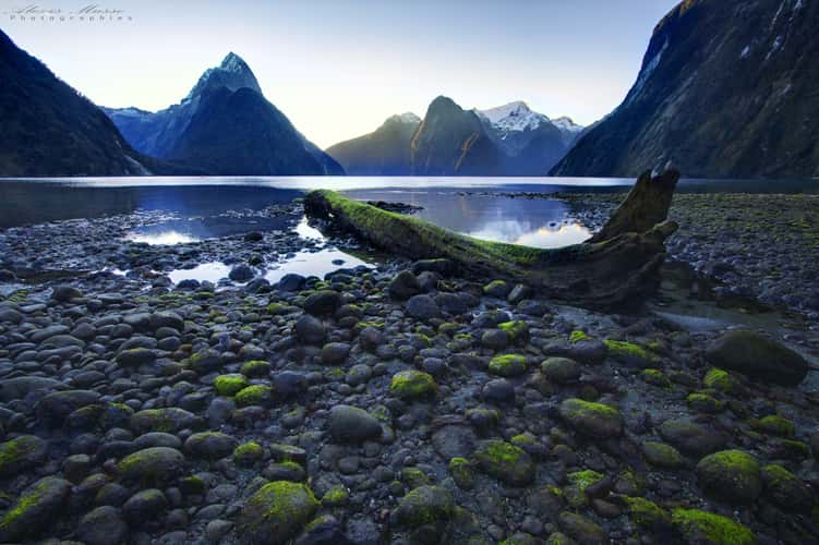 Milford Sound/Piopiotahi