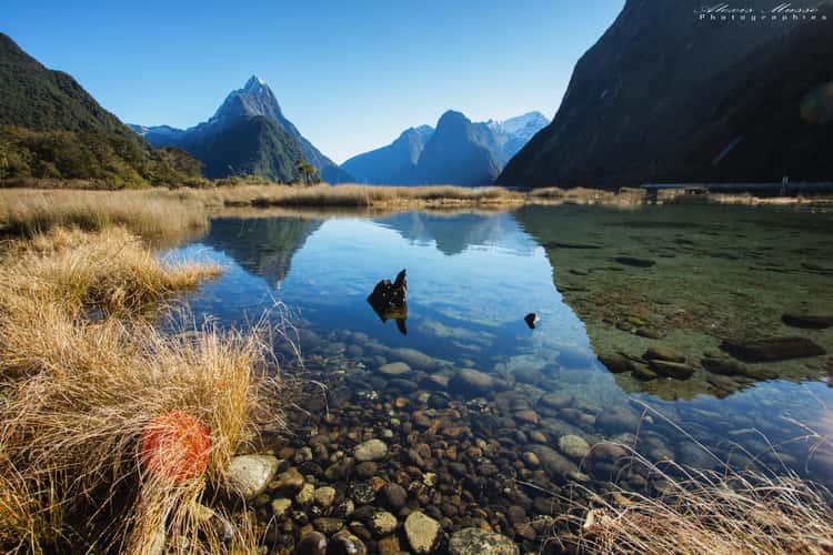 Milford Sound/Piopiotahi