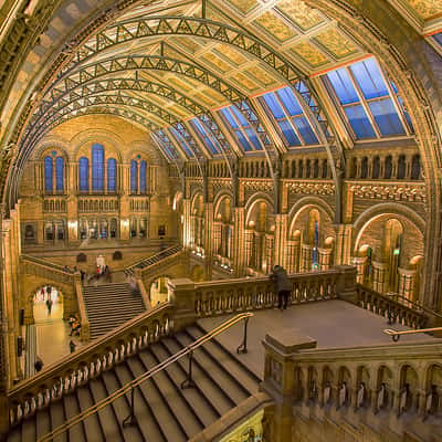 The Natural History Museum, London, United Kingdom