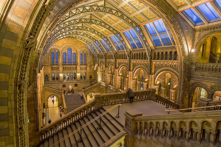 The Natural History Museum, London