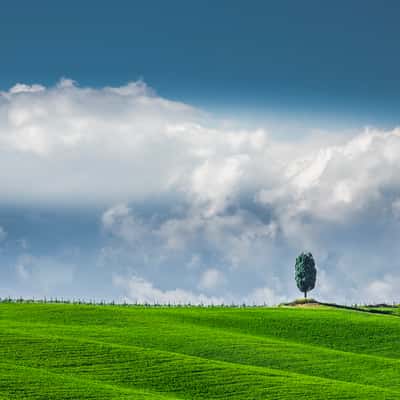 Val d´Orcia  -  Tuscany, Italy
