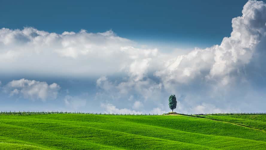 Val d´Orcia  -  Tuscany