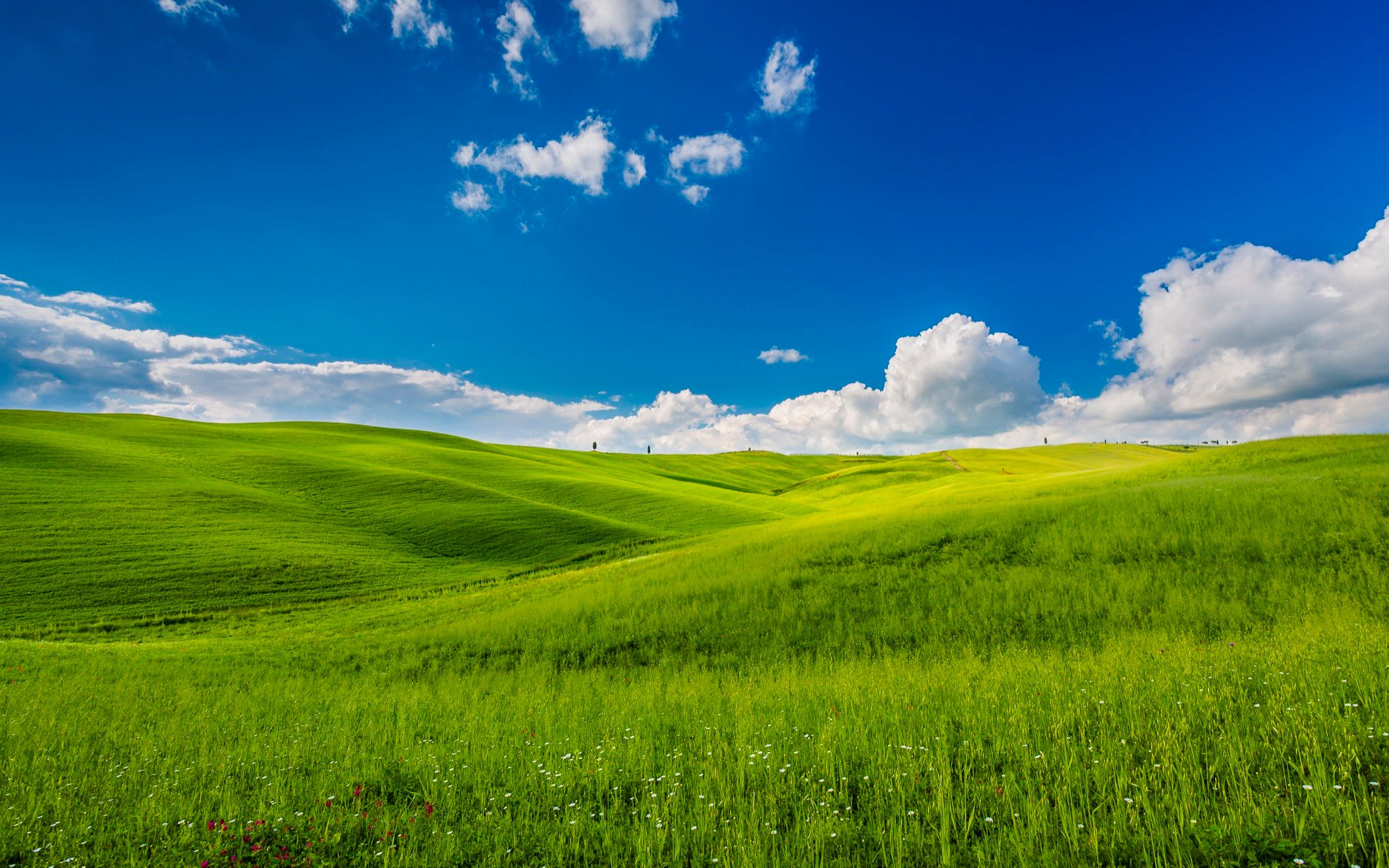 Val d´Orcia  -  Tuscany, Italy