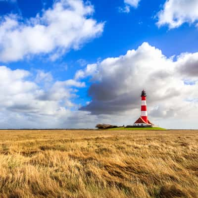 Westerhever Salt Marshes, Germany