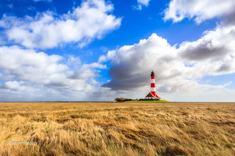 Westerhever Salt Marshes