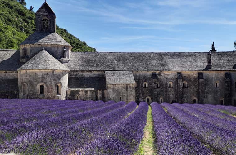 Lavender blossom at Notre-Dame de Sénanque
