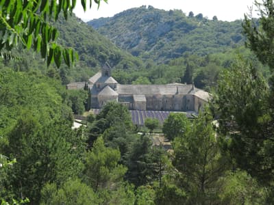 Abbaye de Sénanque from above
