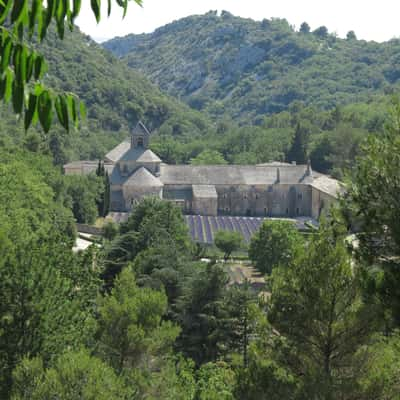 Abbaye de Sénanque from above, France