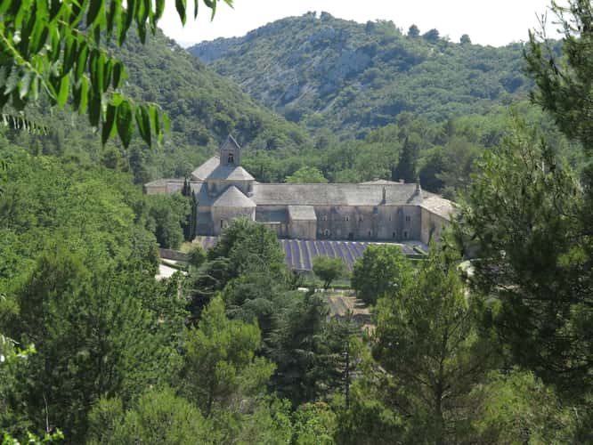 Abbaye de Sénanque from above