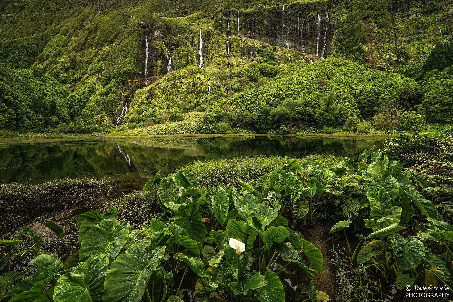 Poco da Alagoinha, Flores, Azores, Portugal