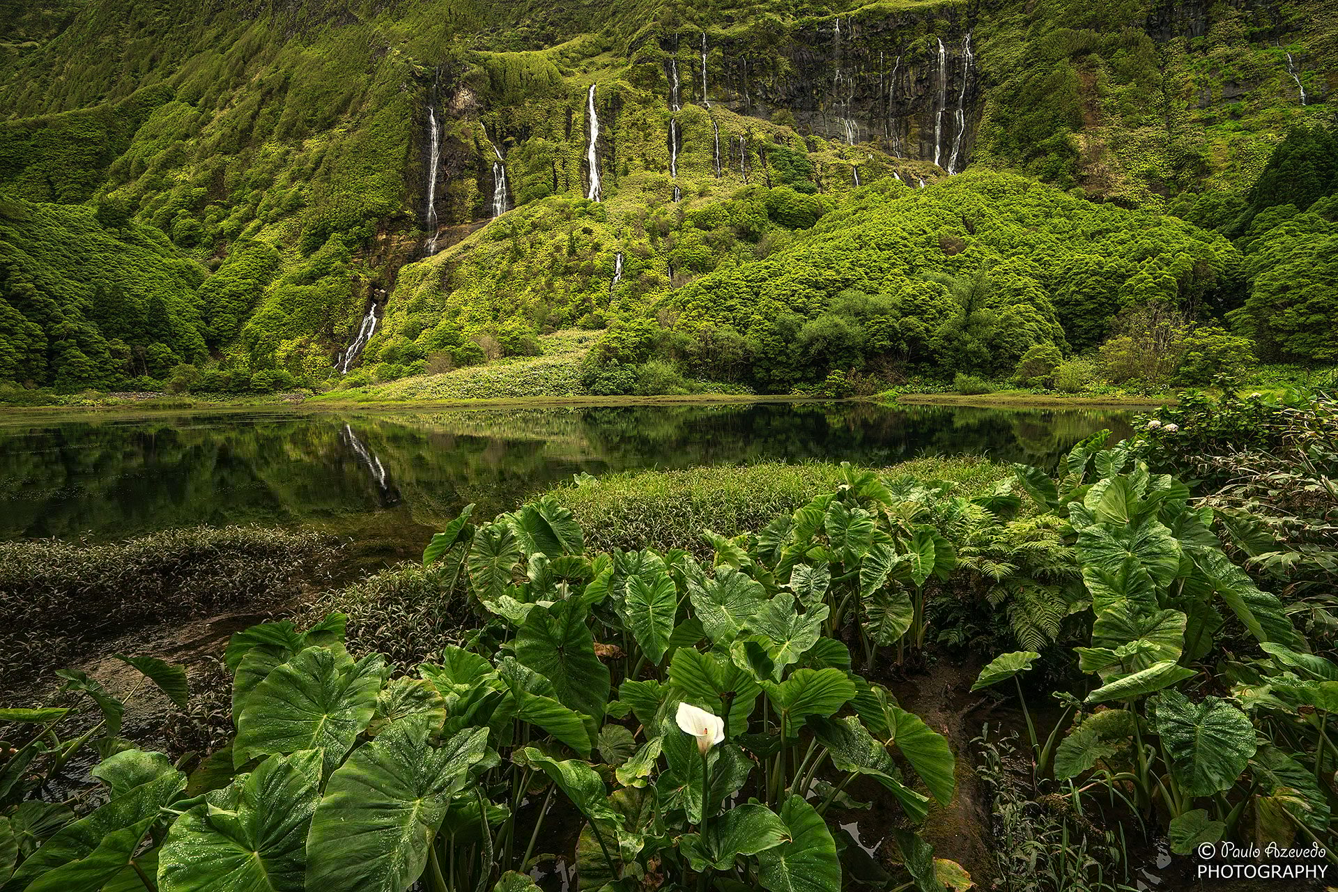 eden - Top Spots for this Photo Theme
