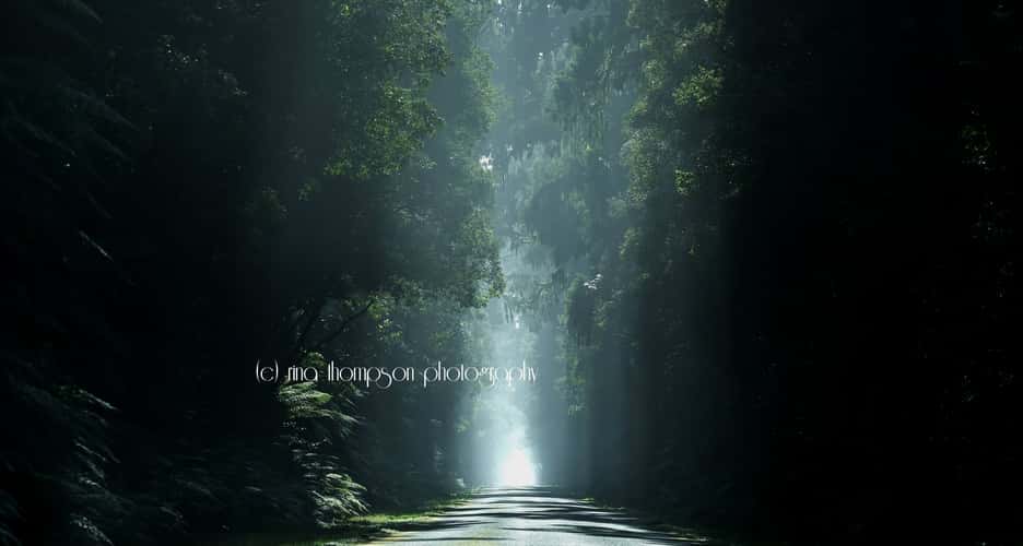 Jacksons Bay Rd, South Westland