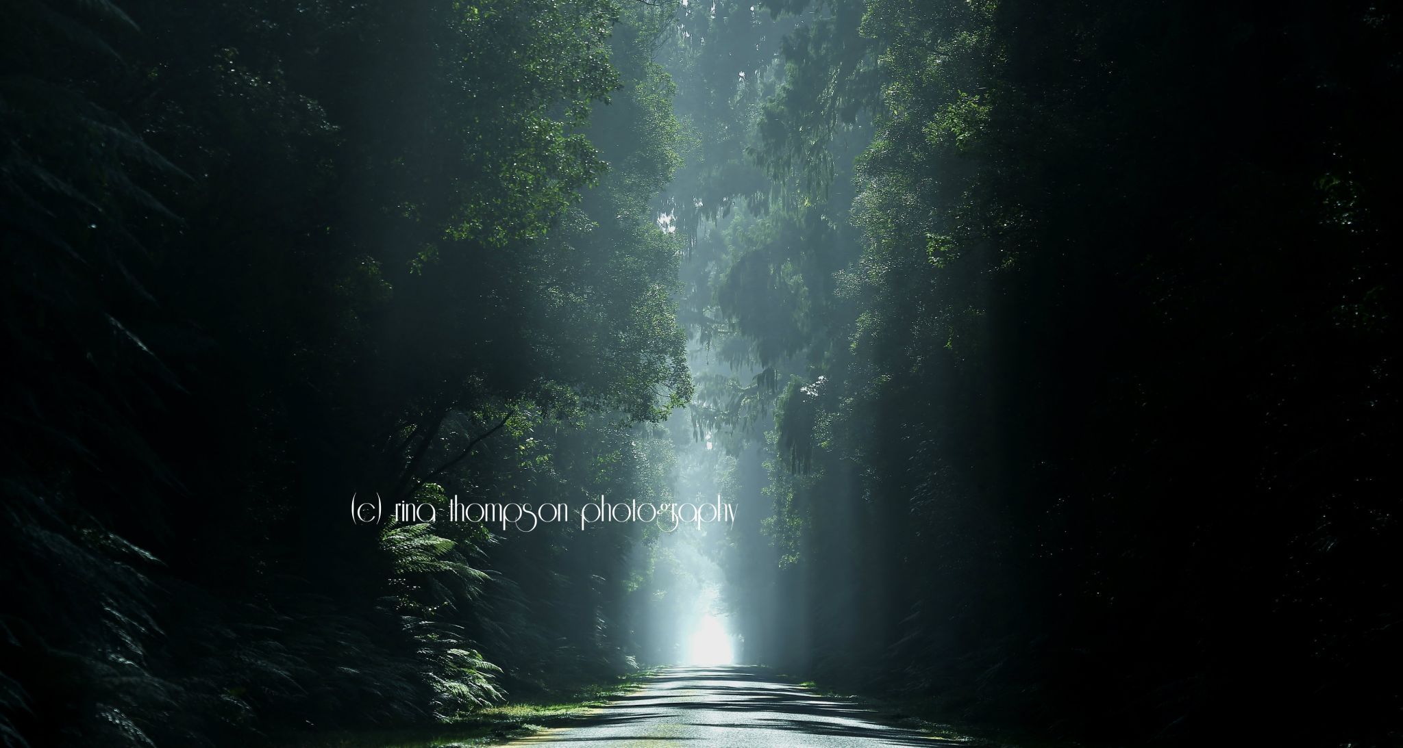Jacksons Bay Rd, South Westland, New Zealand