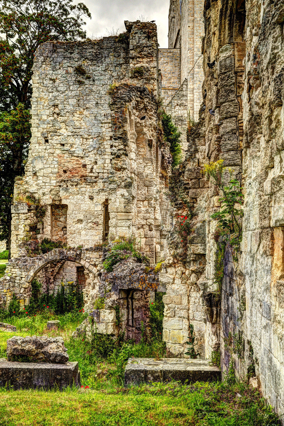 L'Abbaye de Jumièges, France
