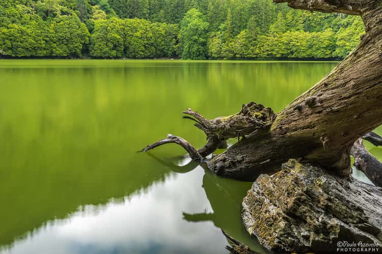 Lagoa do Congro, Sao Miguel, Azores