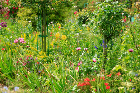 Monet's Garden at Giverny