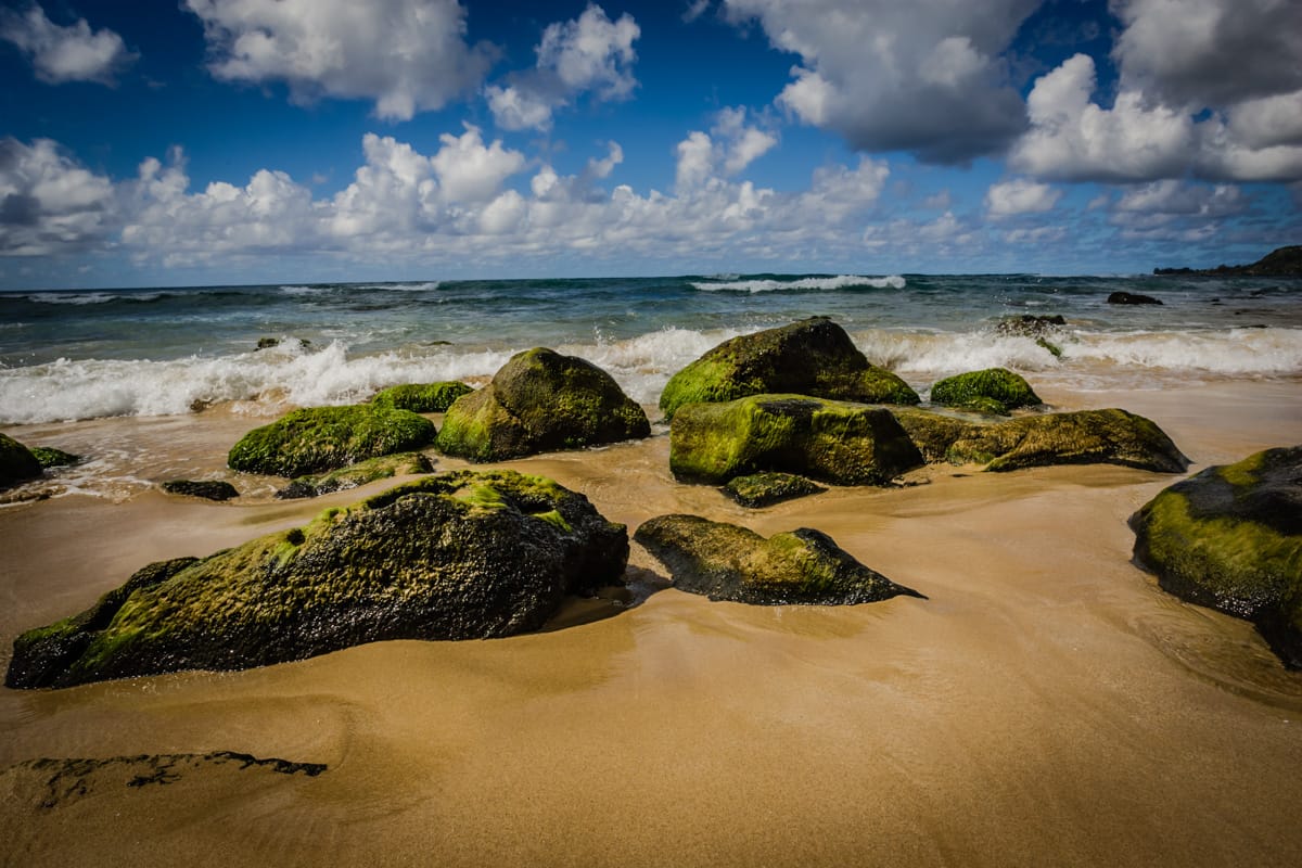 North Shore, Oahu, USA